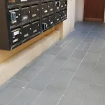 Studette A Coté De La Et La Promenade *